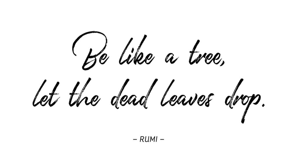 Sei wie ein Baum – Lass die toten Blätter fallen