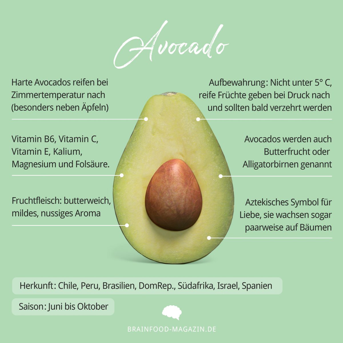 Food Fakten Avocado Brain Food Magazin lebe bewusst