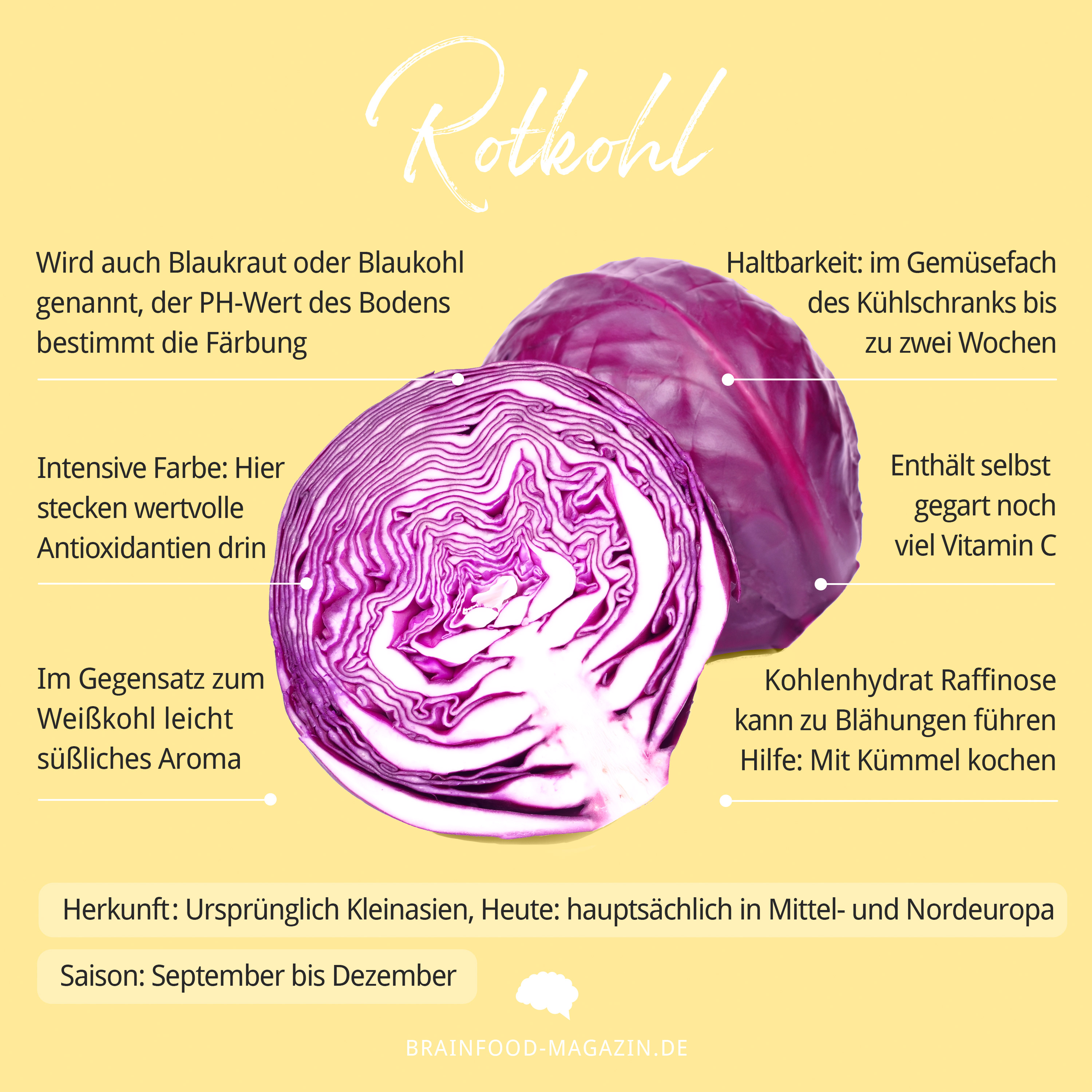 Wie Lange Hält Gekochter Rotkohl Im Kühlschrank Food Facts Rotkohl – Brain Food