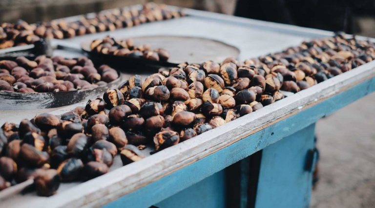 Food Facts Maronen Brain Food Magazin lebe bewusst