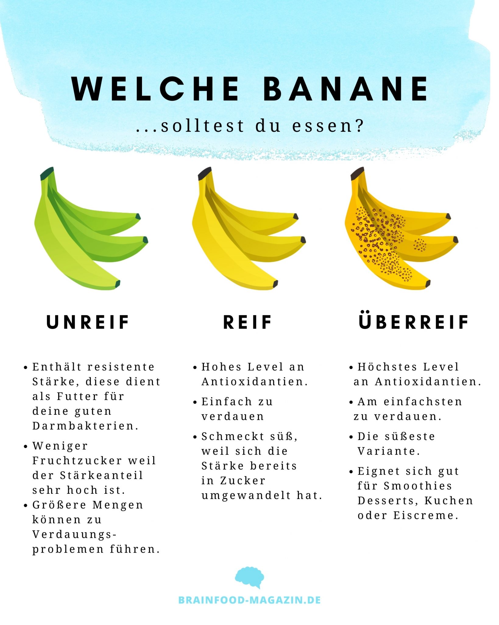 Gesundheitsfakten und Wissenswertes über Bananen - Brain Food Magazin ...