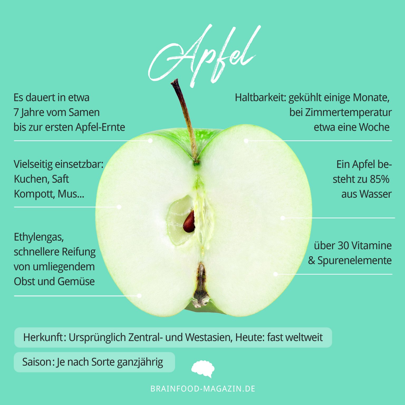 Food Fakten Apfel Brain Food Magazin Lebe Bewusst 6994