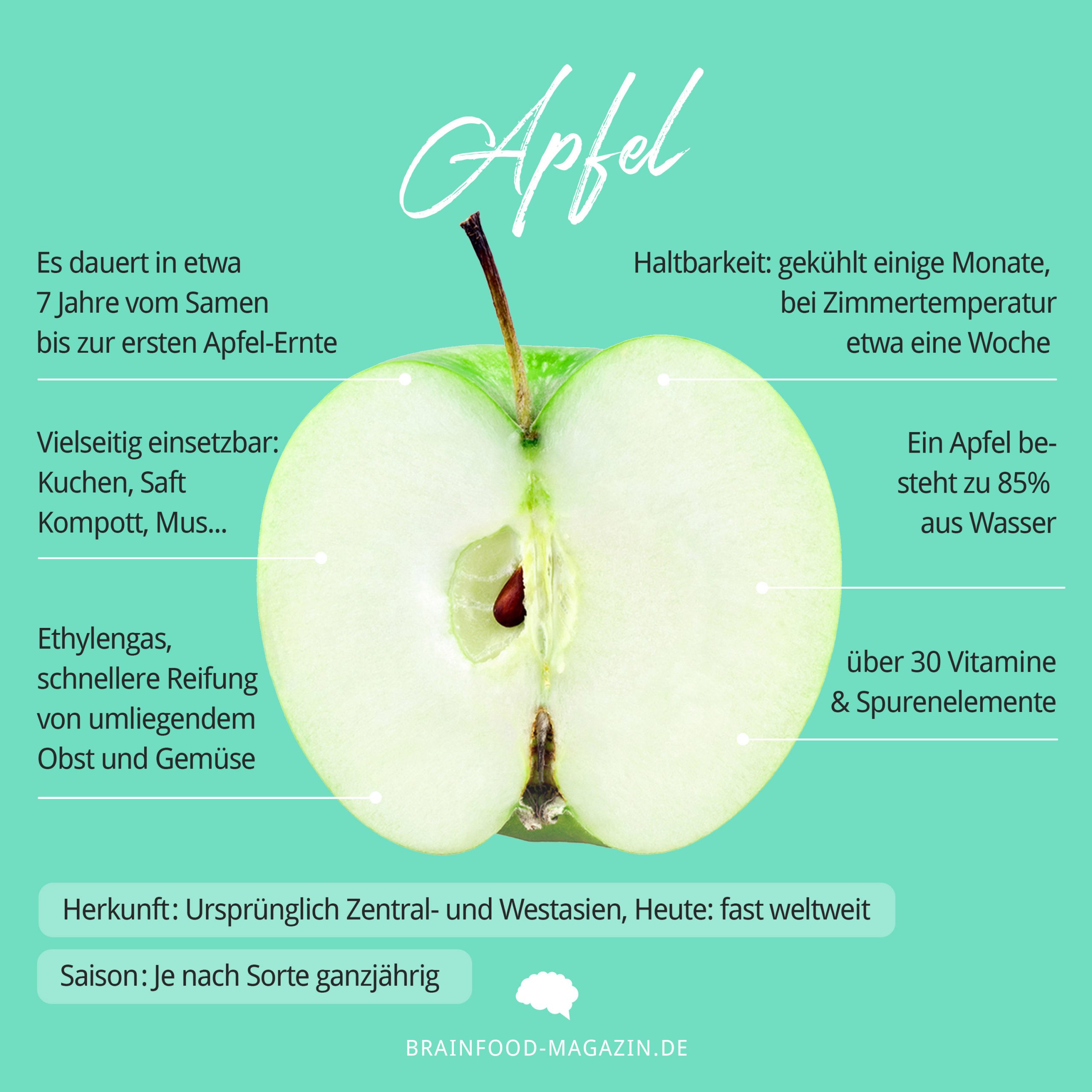 Apfel Nährwerte, Aufbewahrung, Haltbarkeit und Rezepte! Wie gesund ist der Apfel?