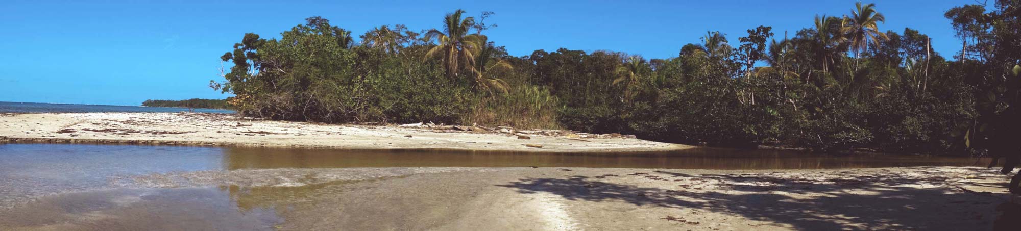Nationalpark Cahuita in Costa Rica