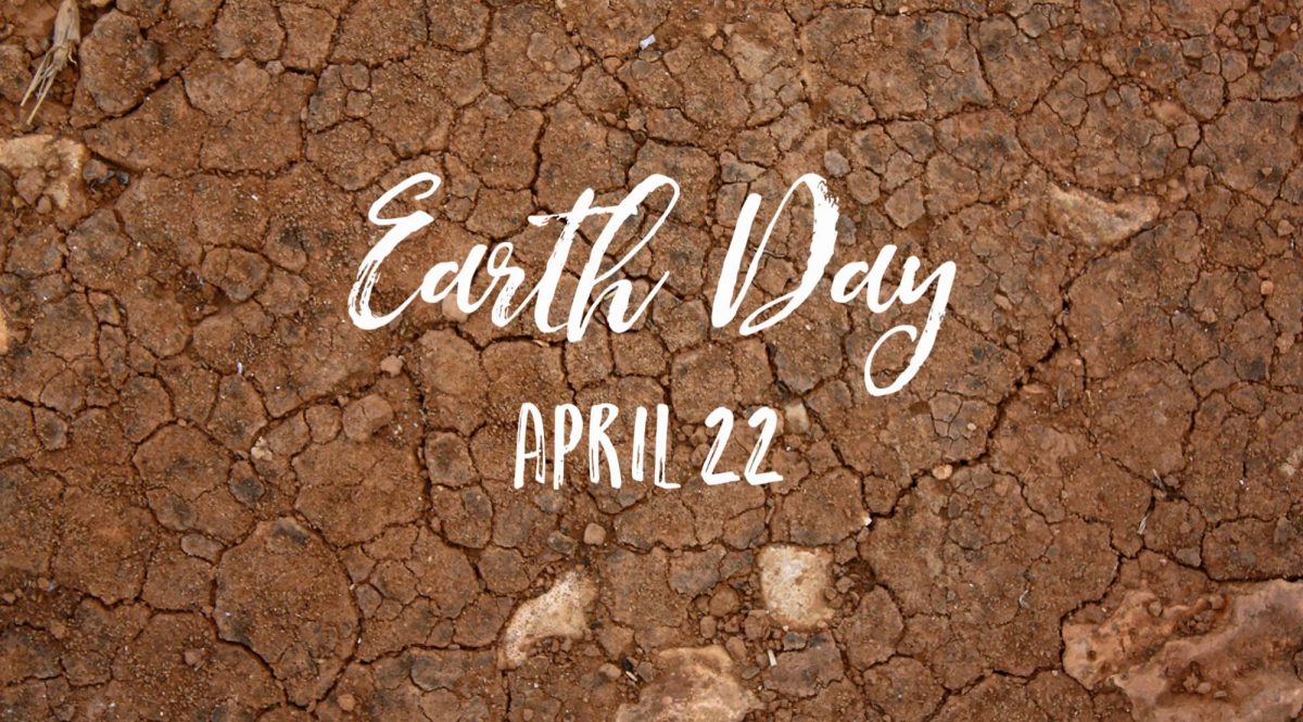 7 Tipps um jeden Tag zum Earth Day zu machen!