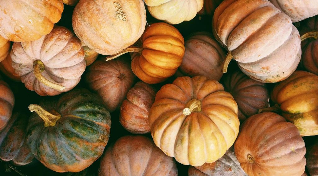 nachhaltig essen. Saisonkalender Oktober