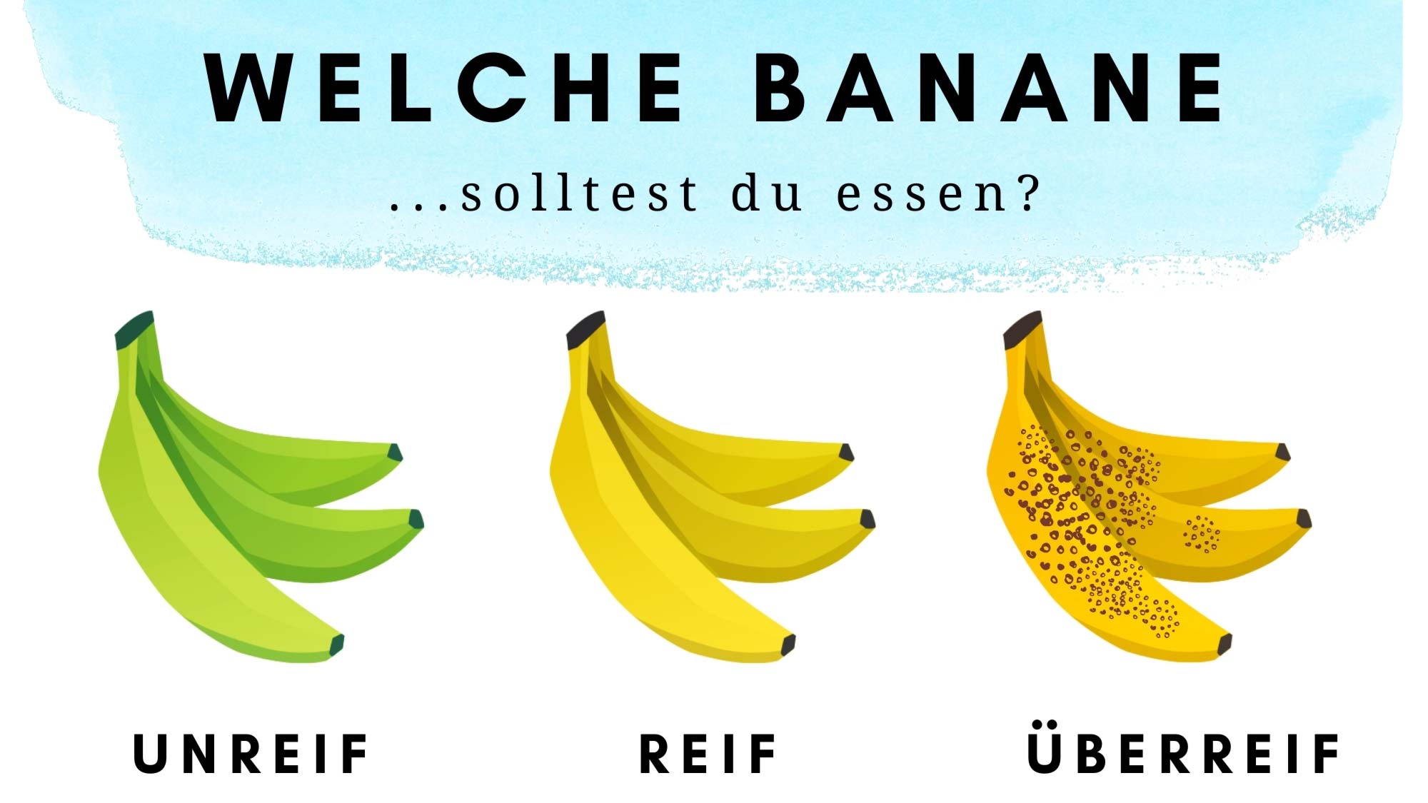 Gesundheitsfakten und Wissenswertes über Bananen