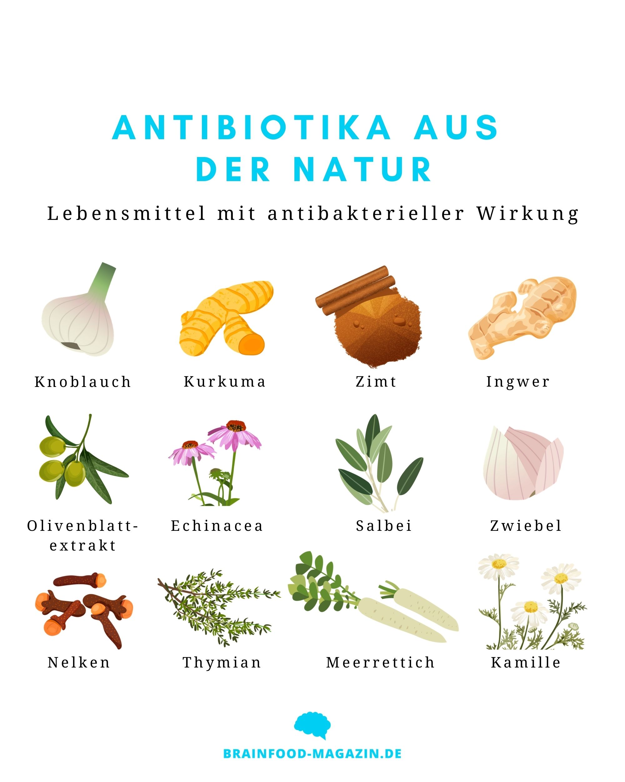 Antibiotika Selber Machen