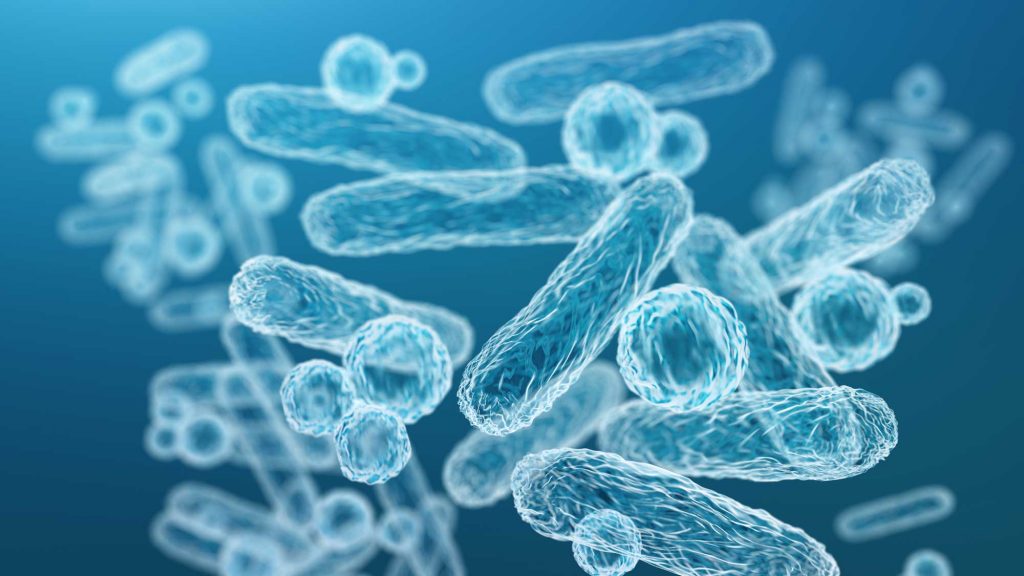 Den Zusammenschluss aller Bakterien in und auf unserem Körper nennt man Mikrobiom
