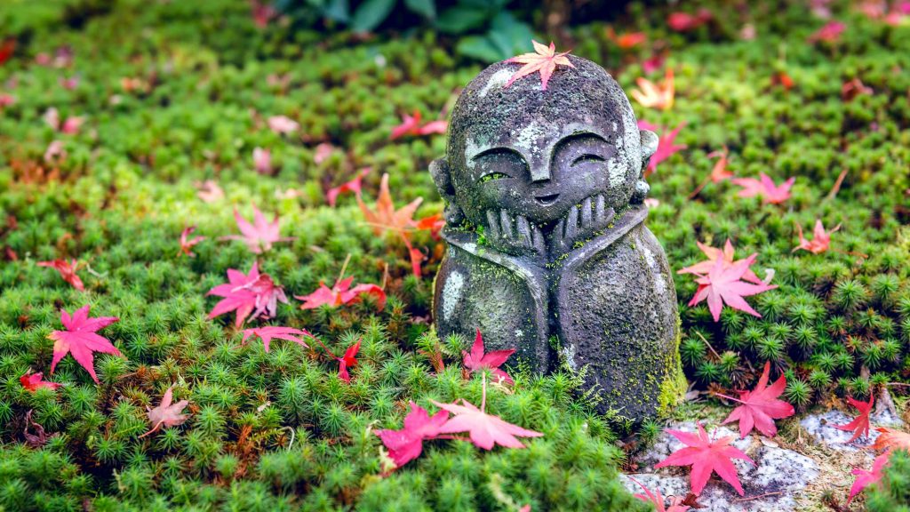 japanische Formel für Glück und ein langes Leben: Ikigai