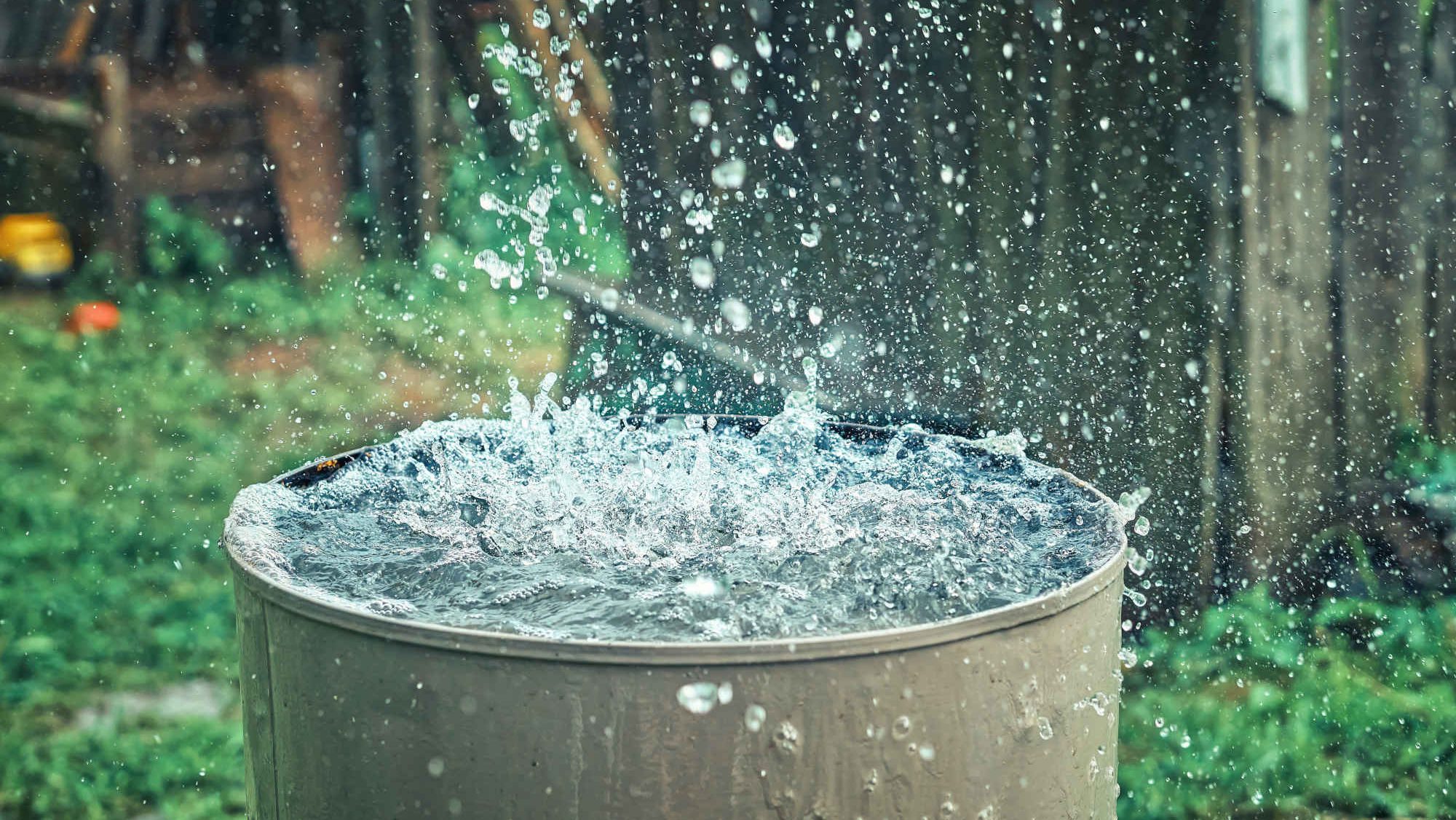 Eine Regentonne spart Geld und Wasser – Wie du Regenwasser nutzen kannst