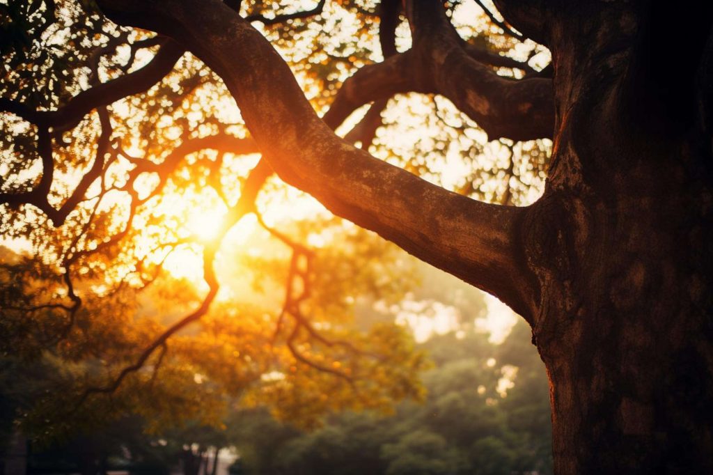 Hoffnung nach einem Sportunfall