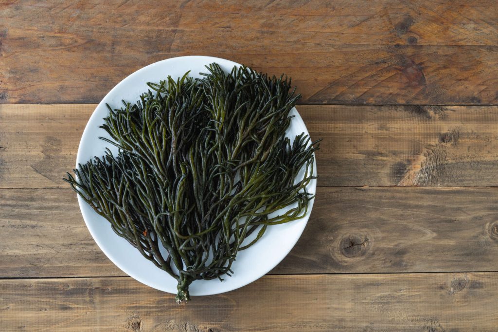 Essbare Algen: Podium