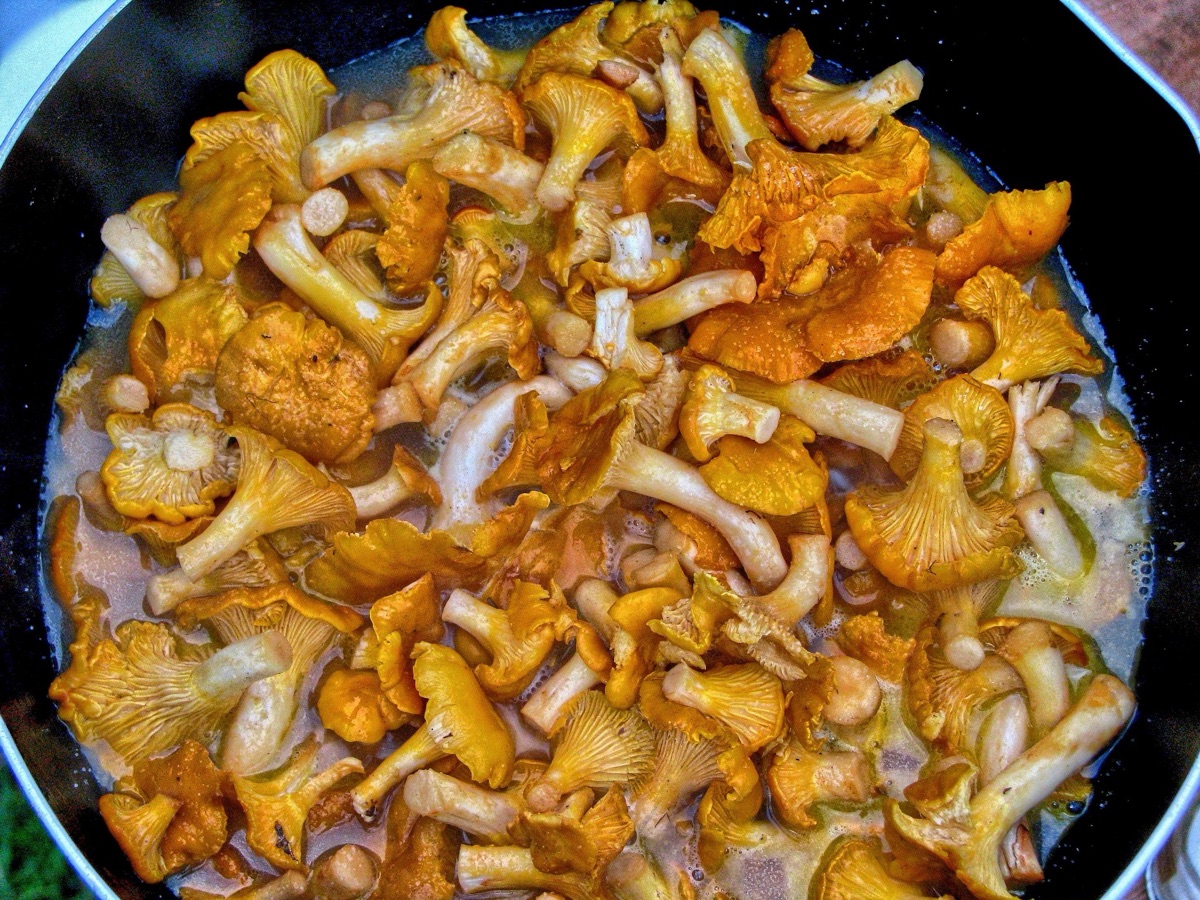 Pfifferlinge werden in einer Pfanne erhitzt und gebraten